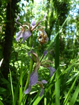 20150705 Walk from Llantwit Major